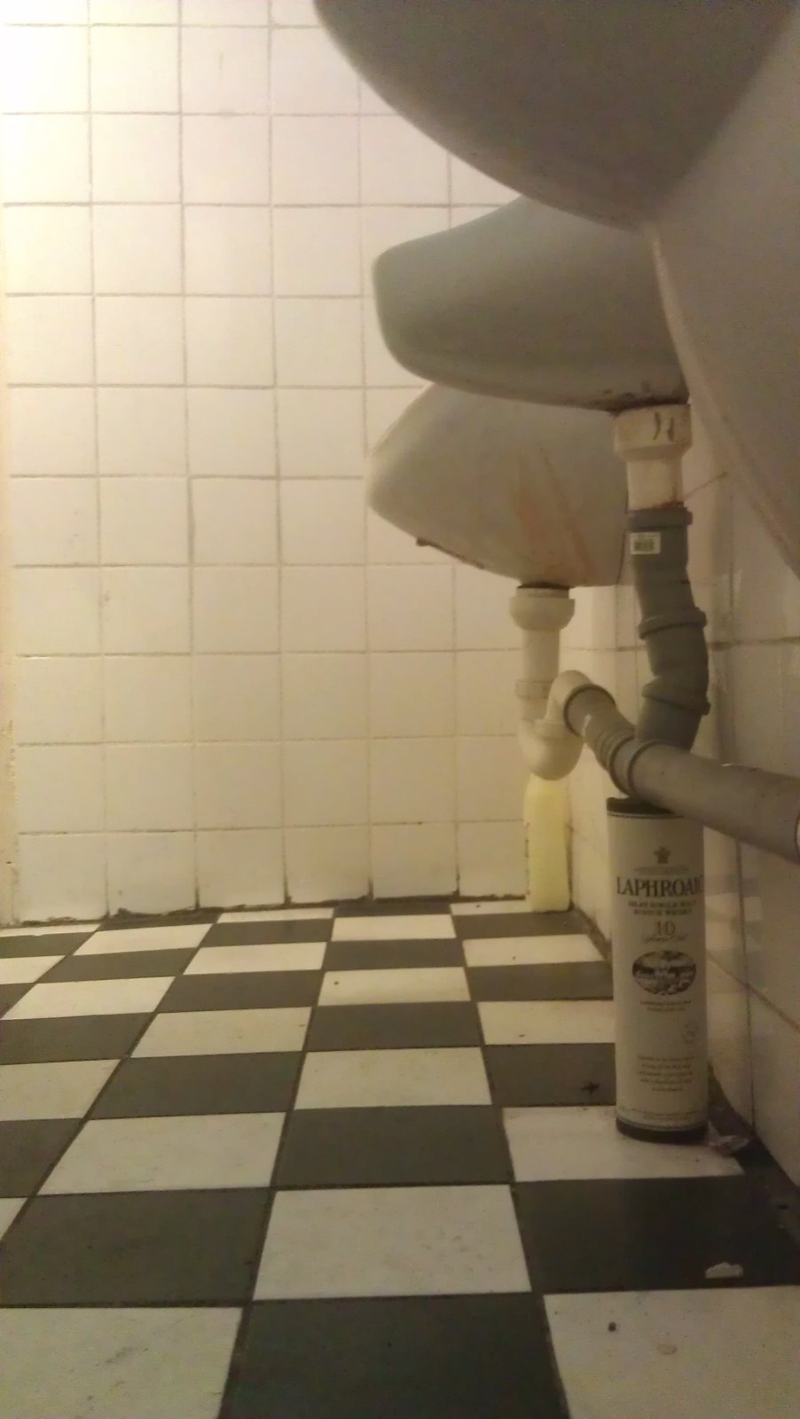 IMAG0081